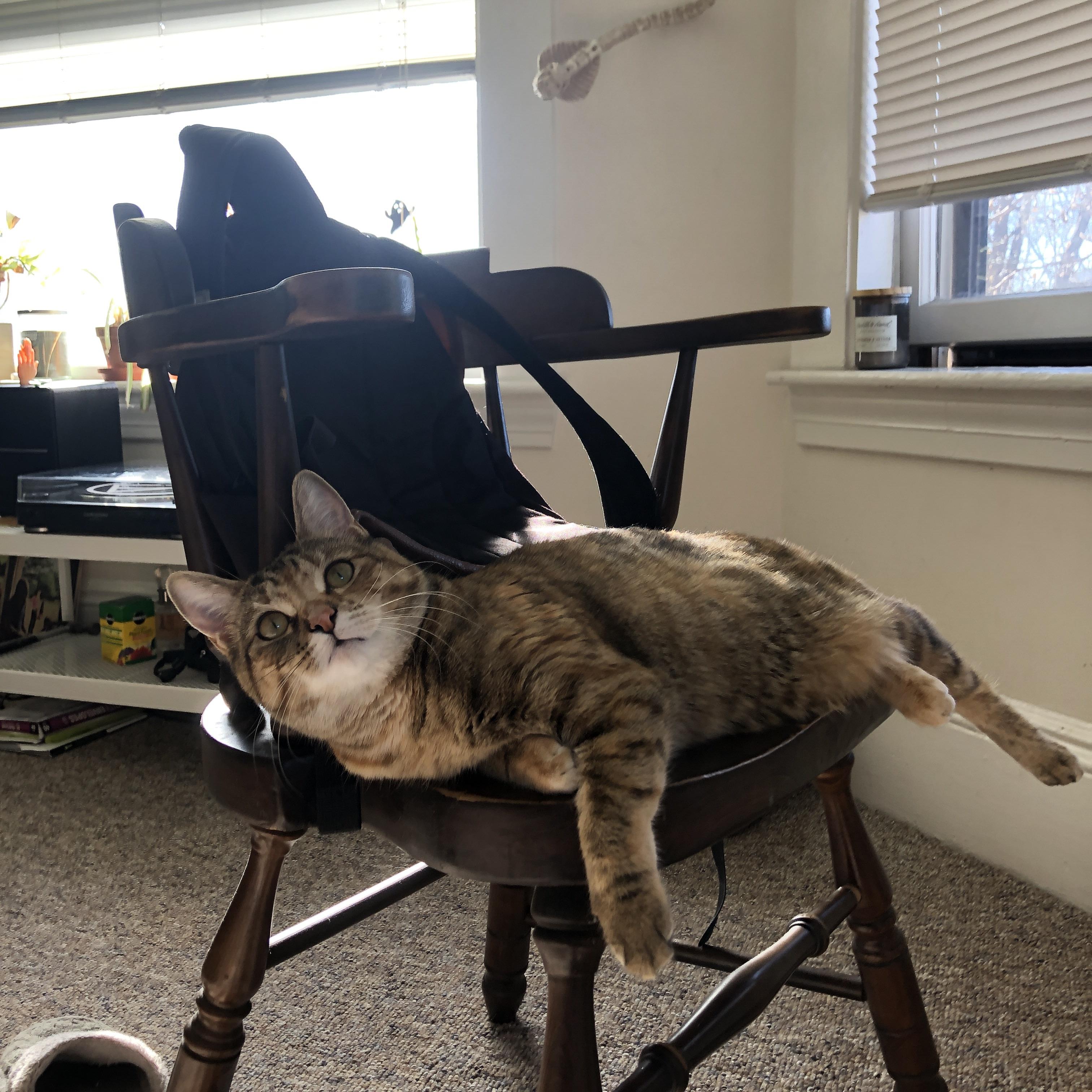 九游-NBA联盟跨平台内容传播效率与用户触达研究