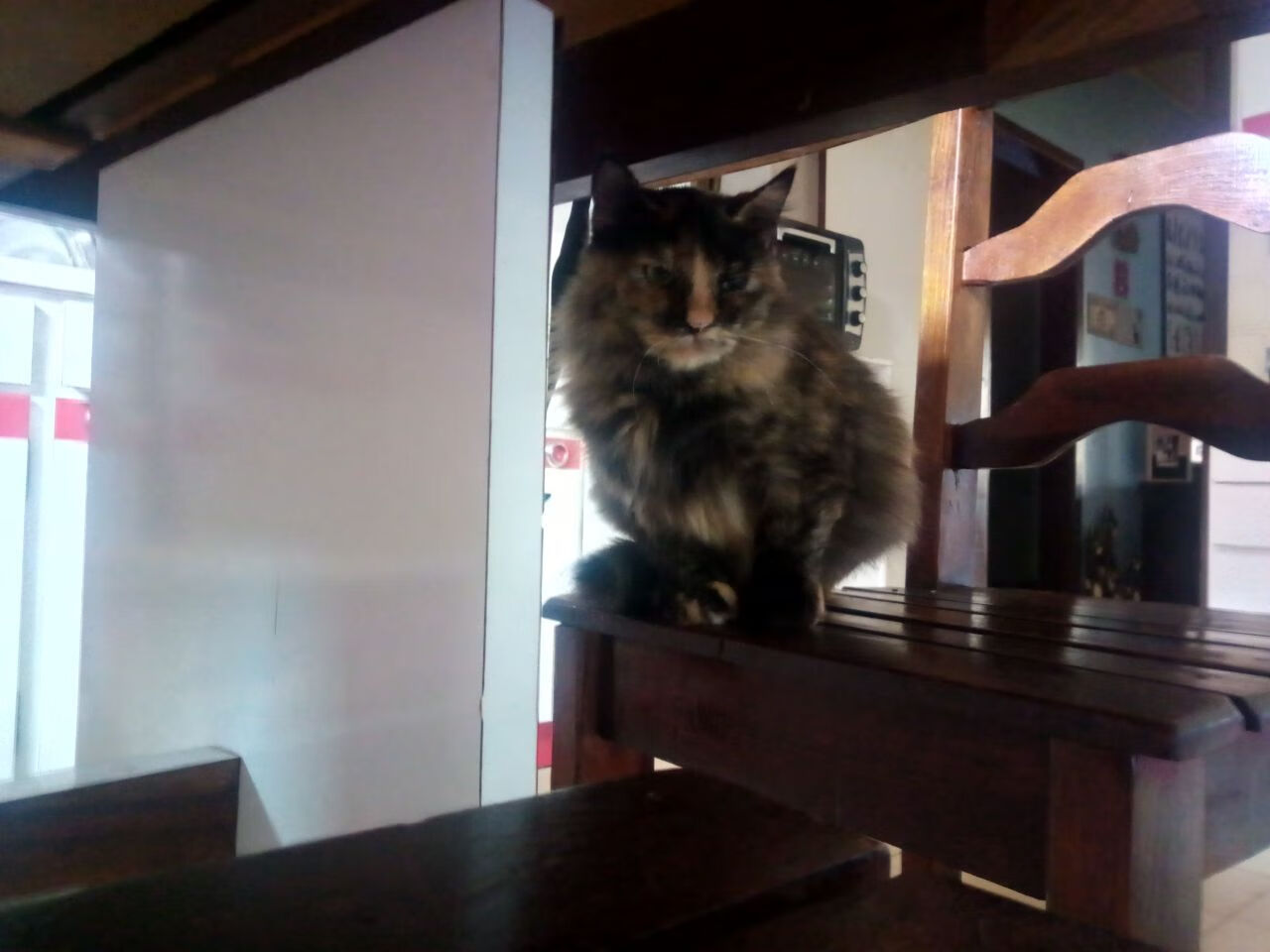 NBA联盟跨平台内容传播效率与用户触达研究