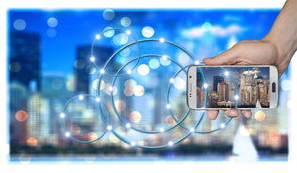 九游网页版官网-中国篮球职业俱乐部财务风险管理策略研究，篮球俱乐部运营情况