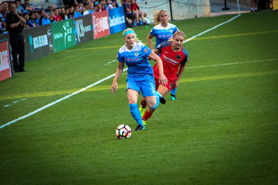 九游社区-中国篮球职业联赛俱乐部财务风险管理，篮球俱乐部财务制度