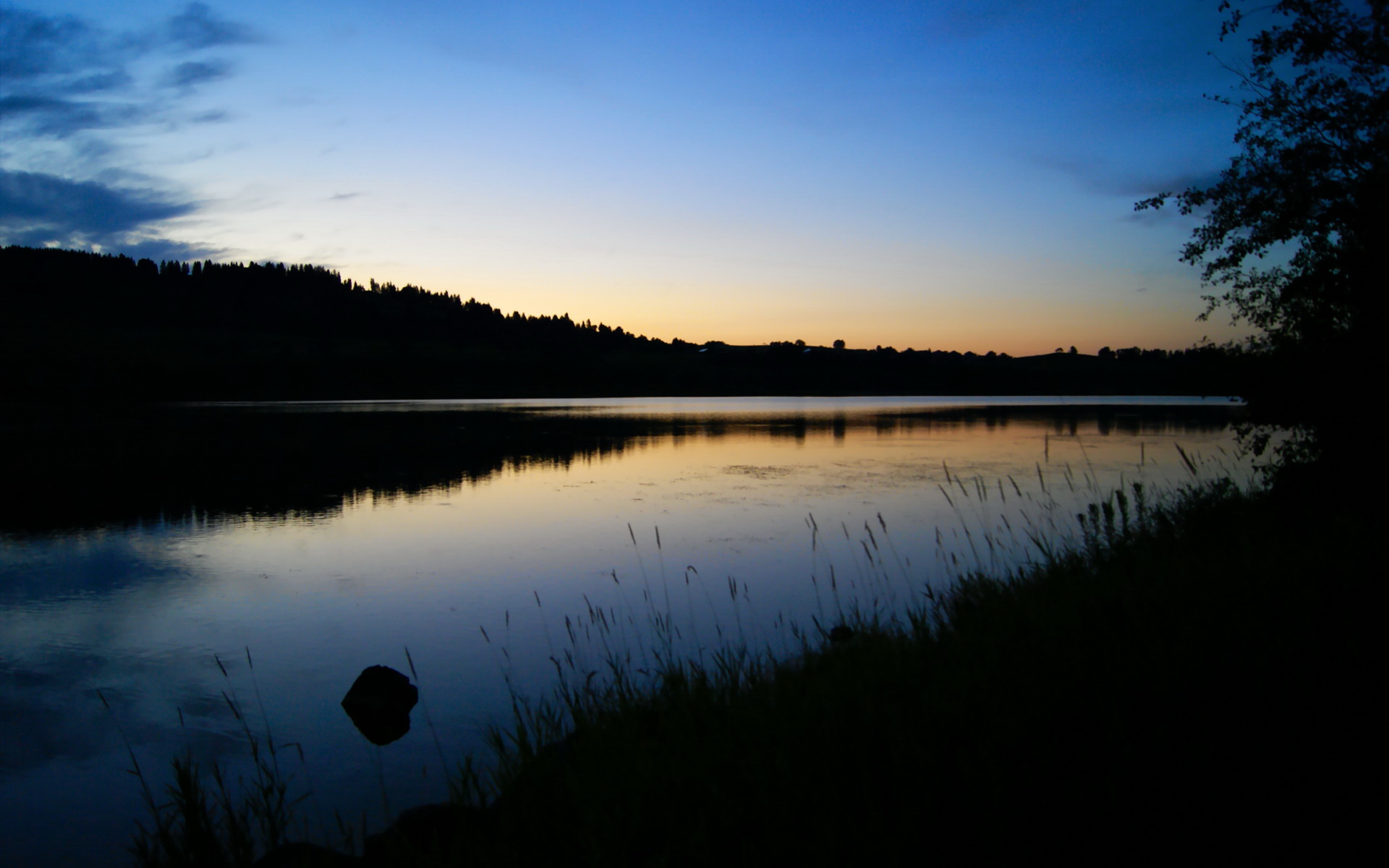 中国篮球职业联赛市场细分及粉丝互动策略,国内篮球职业联赛