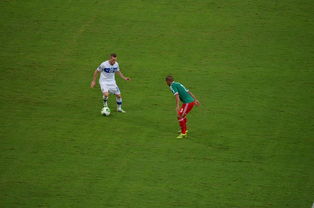 九游体育登录入口-哈兰德绝杀背后的训练与VAR争议，哈兰德生涯